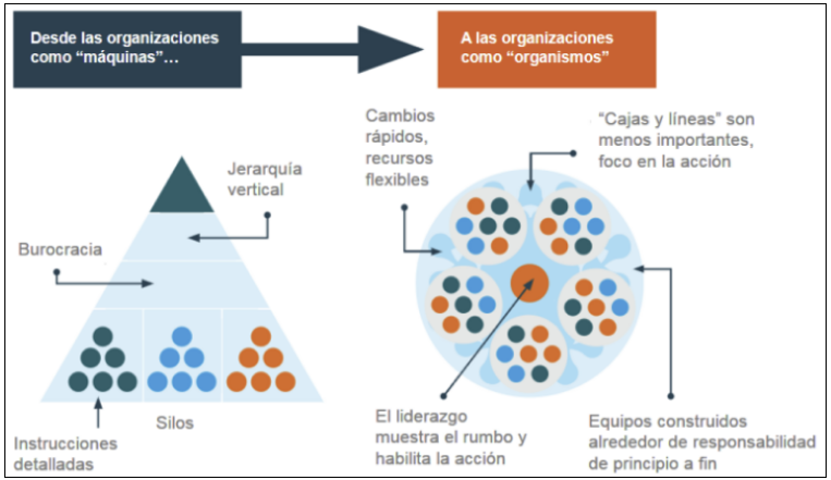 Organización-máquina